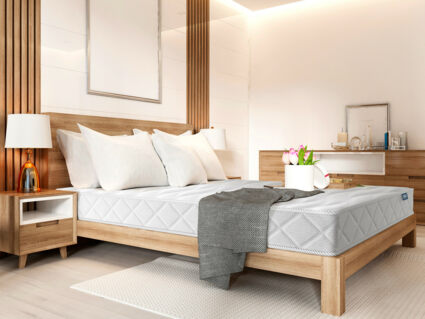 Матрас Димакс Relmas Cocos S1000 40